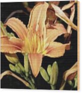 Day Lily Wood Print