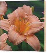 Daylily In Orange Wood Print