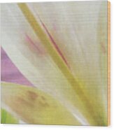 Daylily Wood Print