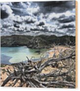Dead Nature Under Stormy Light In Mediterranean Beach Wood Print