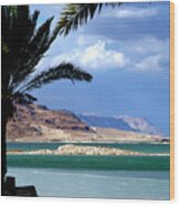 Dead Sea View Wood Print