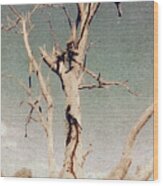 Dead Tree, Outback. Wood Print