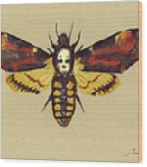 Death Head Hawk Moth Wood Print