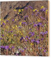 Death Valley Superbloom 401 Wood Print