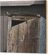 Decorated Outhouse Wood Print
