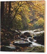 Deep Creek Mountain Stream Wood Print