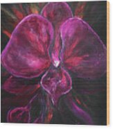 Deep Purple Orchid Wood Print