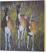 Deer On Guard Wood Print