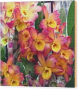 Dendrobiums Wood Print