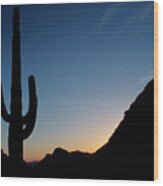 Desert Cactus Sunrise Wood Print
