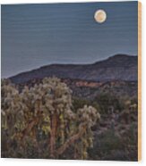 Desert Moonlight Wood Print