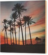 Desert Palms Sunset Wood Print