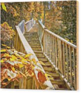 Devil's Kettle Stairway Wood Print