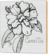 Dew Kissed Camellia Wood Print