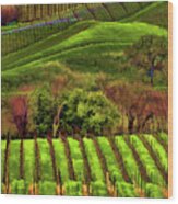 Enhanced Stunning Napa Valley Vineyards Vibrant Wood Print