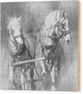 Doc's Horses Wood Print