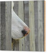Dog Nose Wood Print