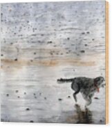 Dog On Beach Wood Print