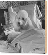 Dog Reading In Bed Wood Print