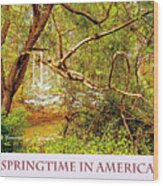 Dogwood Tree In The Forest Spring Wood Print