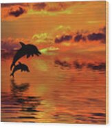 Dolphin Silhouette Sunset By Kaye Menner Wood Print
