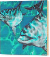 Dolphins Of Sanne Bay Wood Print