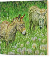 Donkeys Of The Dandelions Wood Print