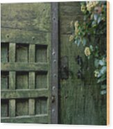 Door With Padlock Wood Print