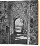 Doors at Ballybeg Priory in Buttevant Ireland Wood Print