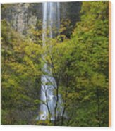 Double Falls In Autumn Wood Print