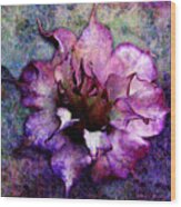 Double Purple Datura Wood Print