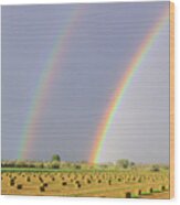 Double Rainbow 6-12-16 Wood Print