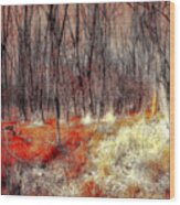 Drachenblut - Dragon's Blood Wood Print