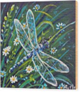 Dragonfly And Daisies Wood Print