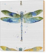 Dragonfly Bliss-jp3443 Wood Print