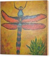 Dragonfly In Flight Wood Print