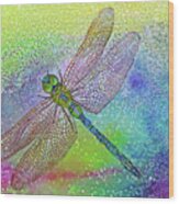 Dragonfly Blue #2 Wood Print