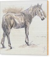 Drawing Of A Horse Wood Print