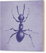 Drawn Purple Ant Wood Print