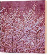Dreaming In Red - Winter Wonderland Wood Print