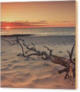 Driftwood And Unbelievable Ocean Sunrise At Nauset Beach Wood Print