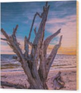 Driftwood Beach Wood Print