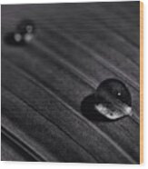 Droplets Wood Print