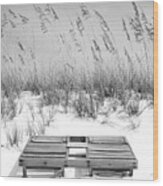 Dual Wooden Tanning Beds On White Sand Dune Destin Florida Black And White Wood Print