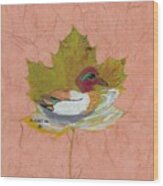 Duck On Pond Wood Print