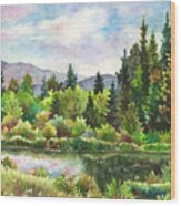 Duck Pond at Caribou Ranch Wood Print
