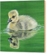 Duckling Wood Print