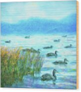 Ducks On Misty Morn - Lake In Boulder County Colorado Wood Print