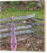 Dulcimer On A Fence Nbr 1h Wood Print