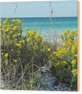 Dunetop Wildflowers By The Beach Wood Print